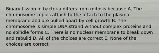 Binary fission in bacteria differs from mitosis because A. The chromosome copies attach to the attach to the plasma membrane and are pulled apart by cell growth B. The chromosome is simple DNA strand without complex proteins and no spindle forms C. There is no nuclear membrane to break down and rebuild D. All of the choices are correct E. None of the choices are correct