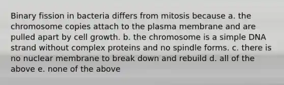 Binary fission in bacteria differs from mitosis because a. the chromosome copies attach to the plasma membrane and are pulled apart by cell growth. b. the chromosome is a simple DNA strand without complex proteins and no spindle forms. c. there is no nuclear membrane to break down and rebuild d. all of the above e. none of the above