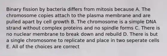 Binary fission by bacteria differs from mitosis because A. The chromosome copies attach to the plasma membrane and are pulled apart by cell growth B. The chromosome is a simple DNA strand without complex proteins and no spindle forms C. There is no nuclear membrane to break down and rebuild D. There is but a single chromosome to replicate and place in two seperate cells E. All of the choices are correct