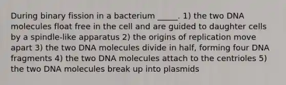 During binary fission in a bacterium _____. 1) the two DNA molecules float free in the cell and are guided to daughter cells by a spindle-like apparatus 2) the origins of replication move apart 3) the two DNA molecules divide in half, forming four DNA fragments 4) the two DNA molecules attach to the centrioles 5) the two DNA molecules break up into plasmids