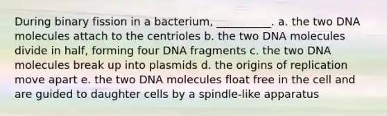 During binary fission in a bacterium, __________. a. the two DNA molecules attach to the centrioles b. the two DNA molecules divide in half, forming four DNA fragments c. the two DNA molecules break up into plasmids d. the origins of replication move apart e. the two DNA molecules float free in the cell and are guided to daughter cells by a spindle-like apparatus