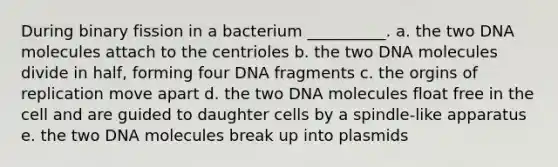 During binary fission in a bacterium __________. a. the two DNA molecules attach to the centrioles b. the two DNA molecules divide in half, forming four DNA fragments c. the orgins of replication move apart d. the two DNA molecules float free in the cell and are guided to daughter cells by a spindle-like apparatus e. the two DNA molecules break up into plasmids