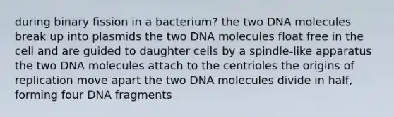 during binary fission in a bacterium? the two DNA molecules break up into plasmids the two DNA molecules float free in the cell and are guided to daughter cells by a spindle-like apparatus the two DNA molecules attach to the centrioles the origins of replication move apart the two DNA molecules divide in half, forming four DNA fragments