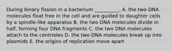 During binary fission in a bacterium __________. A. the two DNA molecules float free in the cell and are guided to daughter cells by a spindle-like apparatus B. the two DNA molecules divide in half, forming four DNA fragments C. the two DNA molecules attach to the centrioles D. the two DNA molecules break up into plasmids E. the origins of replication move apart