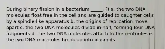 During binary fission in a bacterium _____. () a. the two DNA molecules float free in the cell and are guided to daughter cells by a spindle-like apparatus b. the origins of replication move apart c. the two DNA molecules divide in half, forming four DNA fragments d. the two DNA molecules attach to the centrioles e. the two DNA molecules break up into plasmids