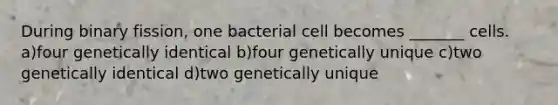 During binary fission, one bacterial cell becomes _______ cells. a)four genetically identical b)four genetically unique c)two genetically identical d)two genetically unique