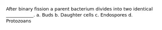 After binary fission a parent bacterium divides into two identical ____________. a. Buds b. Daughter cells c. Endospores d. Protozoans