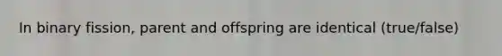 In binary fission, parent and offspring are identical (true/false)