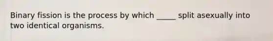 Binary fission is the process by which _____ split asexually into two identical organisms.