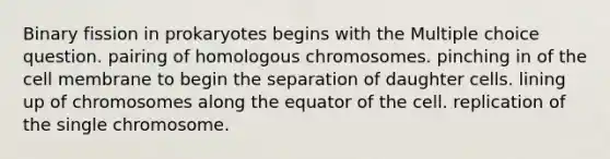 Binary fission in prokaryotes begins with the Multiple choice question. pairing of homologous chromosomes. pinching in of the cell membrane to begin the separation of daughter cells. lining up of chromosomes along the equator of the cell. replication of the single chromosome.