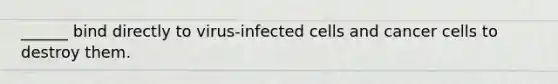 ______ bind directly to virus-infected cells and cancer cells to destroy them.