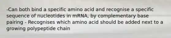 -Can both bind a specific amino acid and recognise a specific sequence of nucleotides in mRNA, by complementary base pairing - Recognises which amino acid should be added next to a growing polypeptide chain