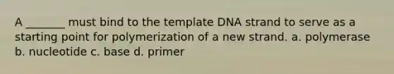 A _______ must bind to the template DNA strand to serve as a starting point for polymerization of a new strand. a. polymerase b. nucleotide c. base d. primer