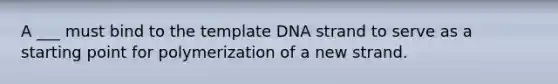 A ___ must bind to the template DNA strand to serve as a starting point for polymerization of a new strand.