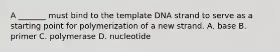 A _______ must bind to the template DNA strand to serve as a starting point for polymerization of a new strand. A. base B. primer C. polymerase D. nucleotide