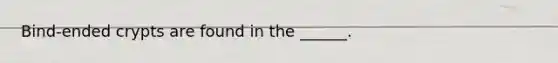 Bind-ended crypts are found in the ______.