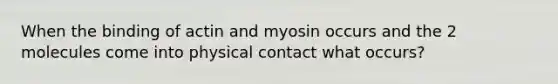 When the binding of actin and myosin occurs and the 2 molecules come into physical contact what occurs?