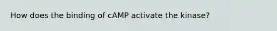 How does the binding of cAMP activate the kinase?