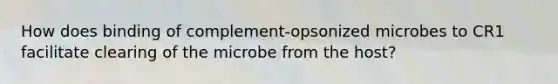 How does binding of complement-opsonized microbes to CR1 facilitate clearing of the microbe from the host?