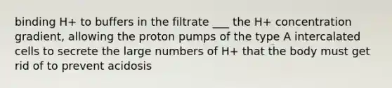 binding H+ to buffers in the filtrate ___ the H+ concentration gradient, allowing the proton pumps of the type A intercalated cells to secrete the large numbers of H+ that the body must get rid of to prevent acidosis