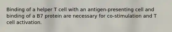 Binding of a helper T cell with an antigen-presenting cell and binding of a B7 protein are necessary for co-stimulation and T cell activation.
