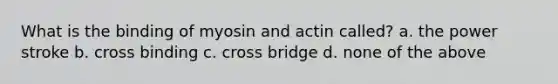 What is the binding of myosin and actin called? a. the power stroke b. cross binding c. cross bridge d. none of the above