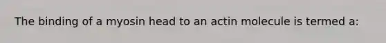 The binding of a myosin head to an actin molecule is termed a: