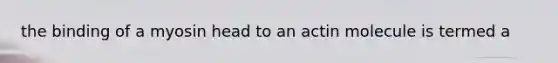the binding of a myosin head to an actin molecule is termed a