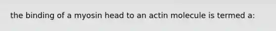 the binding of a myosin head to an actin molecule is termed a: