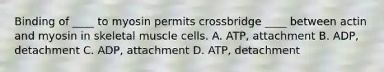 Binding of ____ to myosin permits crossbridge ____ between actin and myosin in skeletal muscle cells. A. ATP, attachment B. ADP, detachment C. ADP, attachment D. ATP, detachment