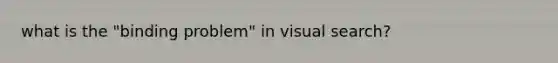 what is the "binding problem" in visual search?