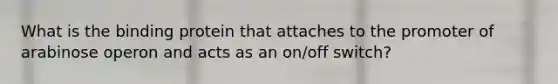 What is the binding protein that attaches to the promoter of arabinose operon and acts as an on/off switch?