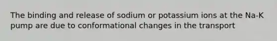 The binding and release of sodium or potassium ions at the Na-K pump are due to conformational changes in the transport