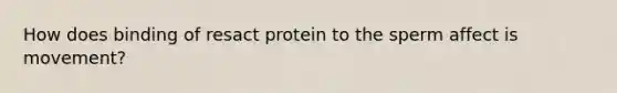 How does binding of resact protein to the sperm affect is movement?