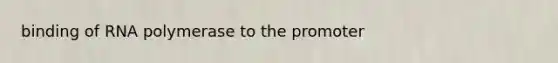 binding of RNA polymerase to the promoter