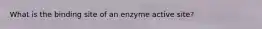 What is the binding site of an enzyme active site?