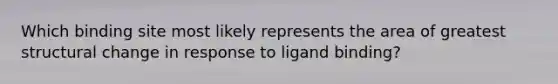 Which binding site most likely represents the area of greatest structural change in response to ligand binding?