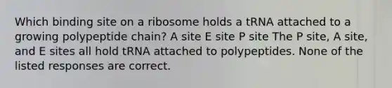 Which binding site on a ribosome holds a tRNA attached to a growing polypeptide chain? A site E site P site The P site, A site, and E sites all hold tRNA attached to polypeptides. None of the listed responses are correct.