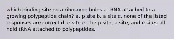 which binding site on a ribosome holds a tRNA attached to a growing polypeptide chain? a. p site b. a site c. none of the listed responses are correct d. e site e. the p site, a site, and e sites all hold tRNA attached to polypeptides.