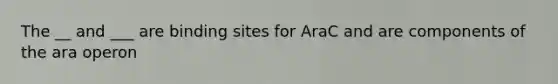 The __ and ___ are binding sites for AraC and are components of the ara operon