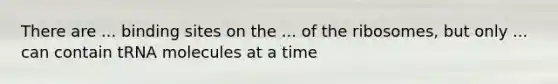 There are ... binding sites on the ... of the ribosomes, but only ... can contain tRNA molecules at a time