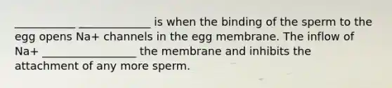 ___________ _____________ is when the binding of the sperm to the egg opens Na+ channels in the egg membrane. The inflow of Na+ _________________ the membrane and inhibits the attachment of any more sperm.