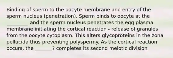 Binding of sperm to the oocyte membrane and entry of the sperm nucleus (penetration). Sperm binds to oocyte at the _________ and the sperm nucleus penetrates the egg plasma membrane initiating the cortical reaction - release of granules from the oocyte cytoplasm. This alters glycoproteins in the zona pellucida thus preventing polyspermy. As the cortical reaction occurs, the _______? completes its second meiotic division