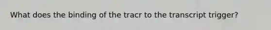 What does the binding of the tracr to the transcript trigger?