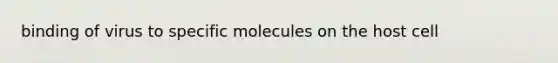 binding of virus to specific molecules on the host cell