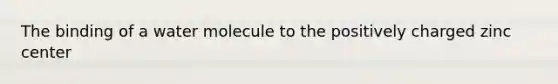 The binding of a water molecule to the positively charged zinc center
