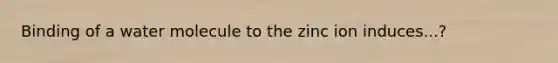 Binding of a water molecule to the zinc ion induces...?