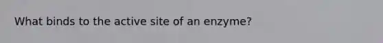 What binds to the active site of an enzyme?