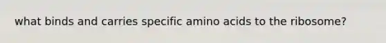 what binds and carries specific <a href='https://www.questionai.com/knowledge/k9gb720LCl-amino-acids' class='anchor-knowledge'>amino acids</a> to the ribosome?