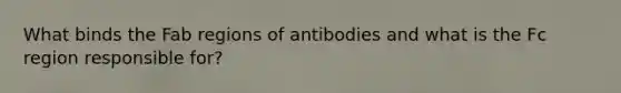 What binds the Fab regions of antibodies and what is the Fc region responsible for?